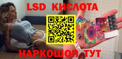 гидра Будённовск