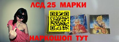 гидра Будённовск