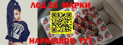 гидра Будённовск