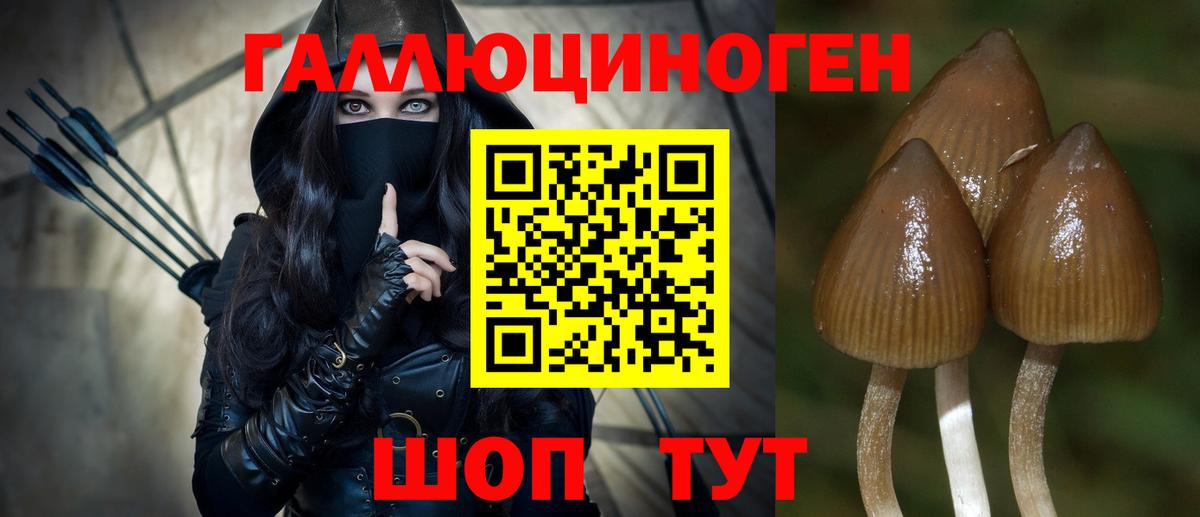 Псилоцибиновые грибы Cubensis Сердобск